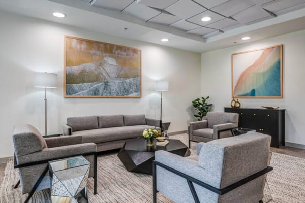 Comfortable lounge area with modern decor