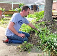 Newburgh Health Care