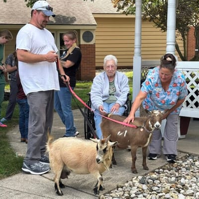 Residents interacting with therapy animals outdoors