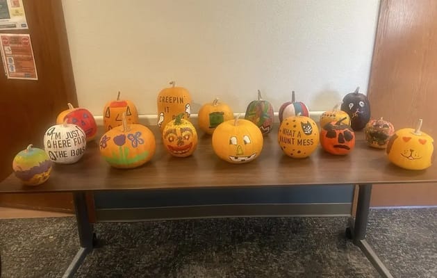 Residents' decorated pumpkins displayed on a table
