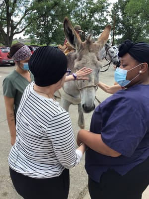 Residents interacting with a donkey in an outdoor setting