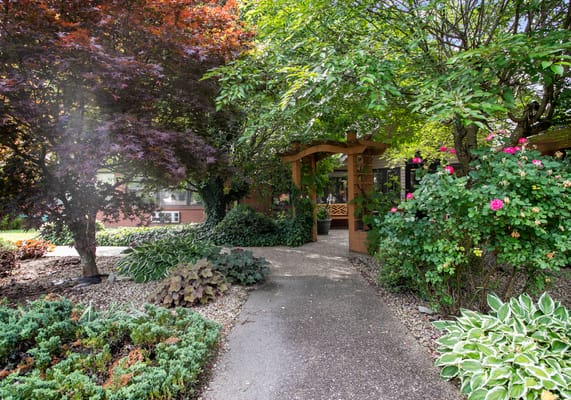 Pathway through vibrant garden with flowers and trees