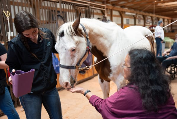 Resident interacting with a therapy horse in a barn setting