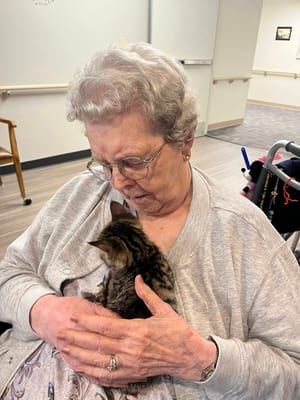 Resident holding a kitten in a cozy setting