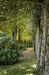 Woodlawn Care Center