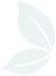 Gardens At Monroe Healthcare And Rehabilitation, T