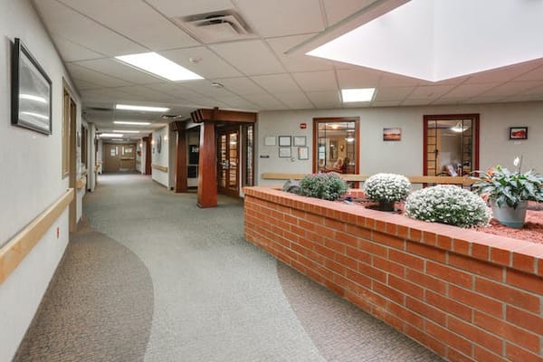Bright interior corridor with flower pots