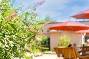 Emerge Nursing and Rehabilitation at Glen Cove