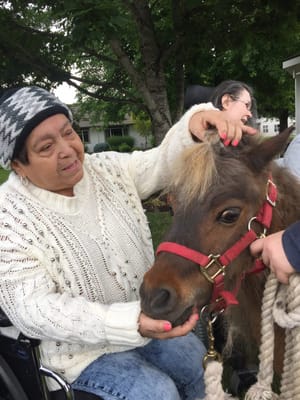 Resident interacting with a pony in an outdoor area
