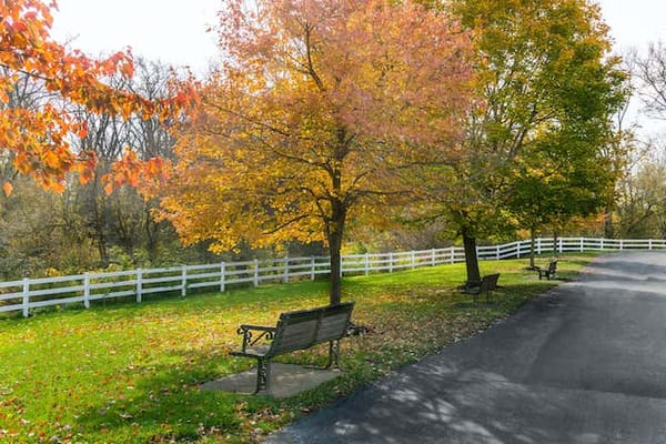 Scenic outdoor space with benches and vibrant autumn trees