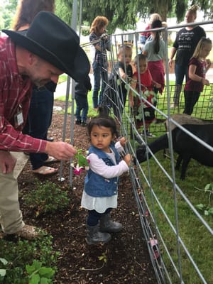 Children interacting with animals in an outdoor space
