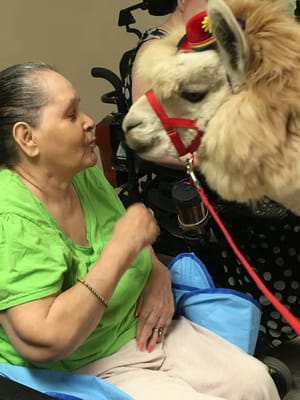 Resident interacting with a therapy animal indoors