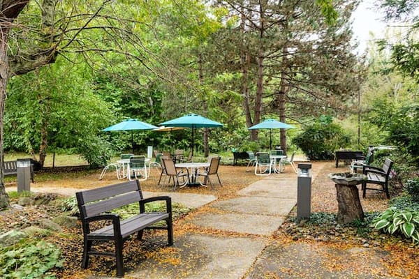 Outdoor seating area with umbrellas and benches