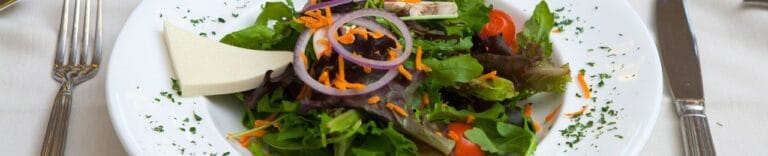 Woodland Pond at New Paltz