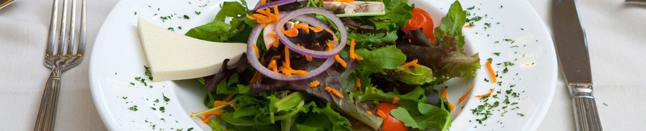 Woodland Pond at New Paltz