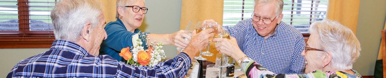 Woodland Pond at New Paltz