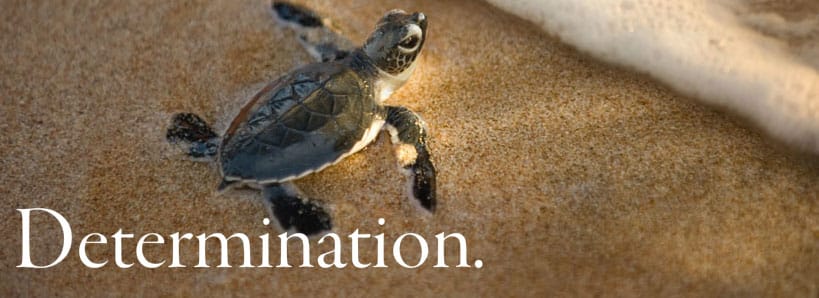 Waterville Residential Care Center