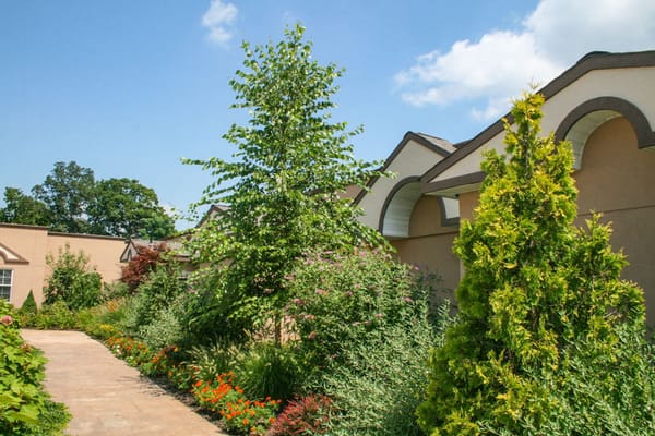 Walking path surrounded by gardens and greenery
