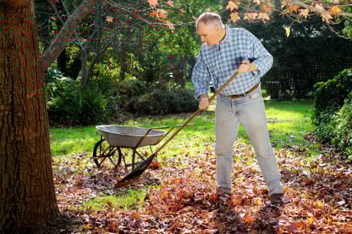 A resident raking leaves in a garden