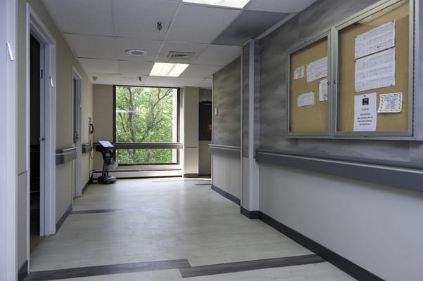 Bright hallway with windows overlooking greenery