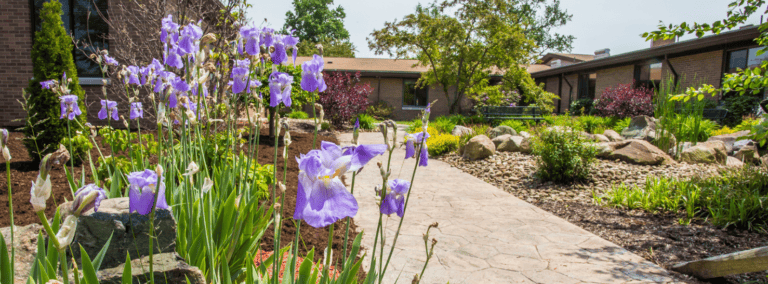 Beautiful garden pathway with blooming purple flowers