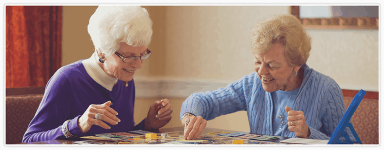 The Meadows at Shannondell