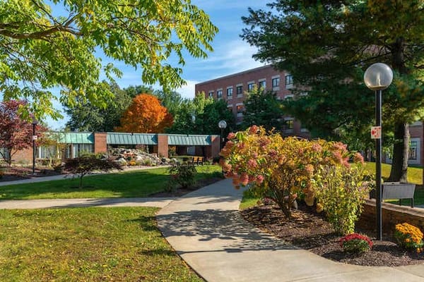 Well-maintained garden area with pathways and trees