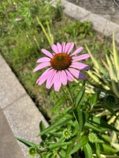 Mountainview Nursing Home