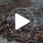 Martha Franks Baptist Retirement Community