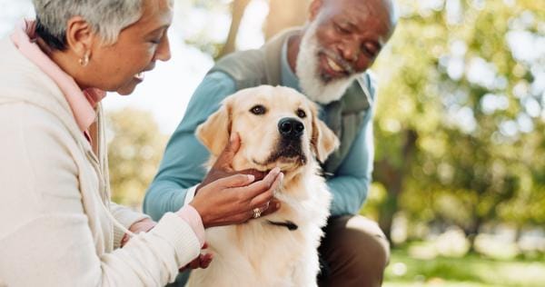Two seniors interacting with a golden retriever outdoors