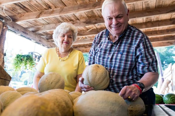 Seniors enjoying a market activity with melons