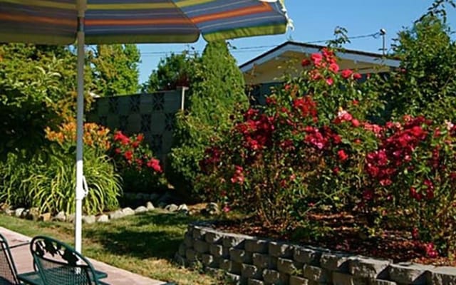 A serene garden area with colorful flowers and seating