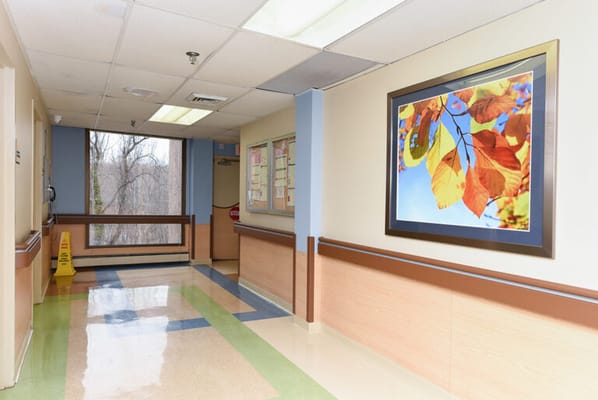 Interior hallway with colorful leaf art