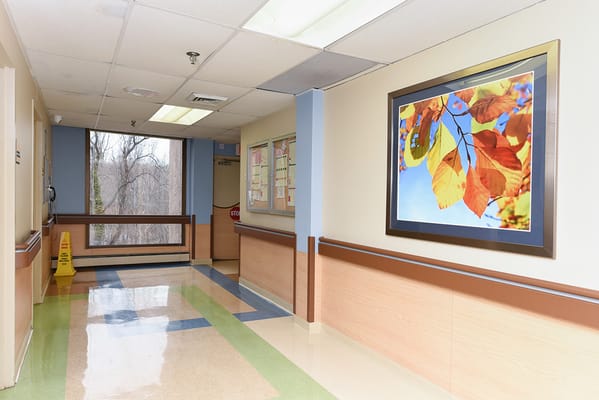 Interior hallway with colorful leaf art