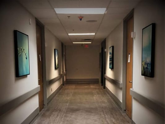 A hallway with artwork on the walls