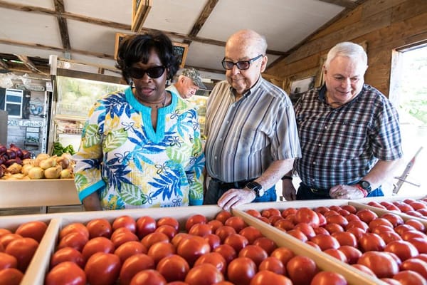 Residents shopping for fresh produce at a local market
