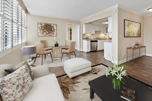 Bright living space with modern furnishings