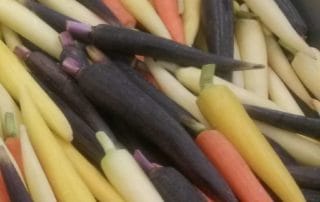 Brazos Tower at Bayou Manor