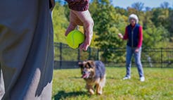 The Village at Orchard Ridge