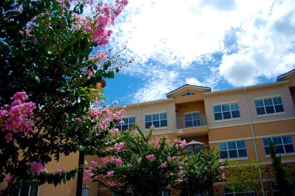 Exterior view of a senior living facility with flowering trees