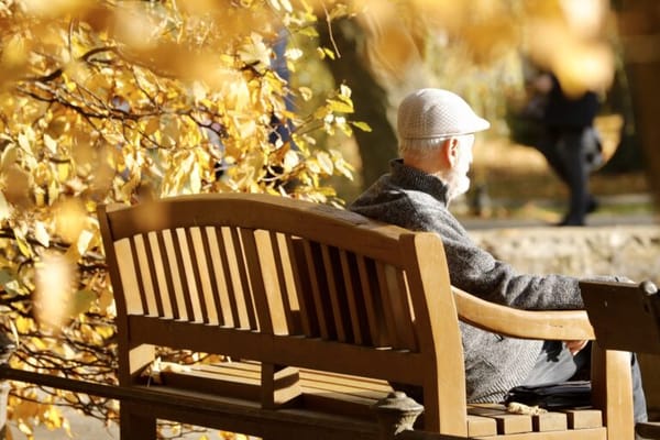 A person sitting on a bench surrounded by autumn leaves