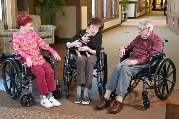 Residents in wheelchairs enjoying time together with a dog