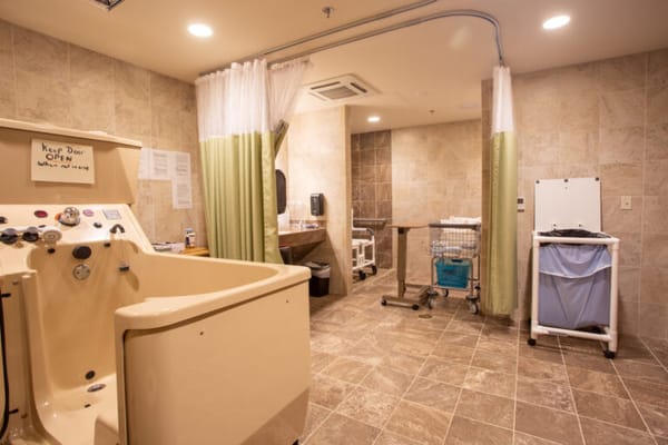 Brightly lit assisted bathing room with equipment