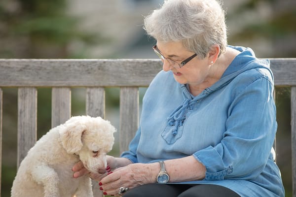 Senior woman interacting with a small dog outdoors
