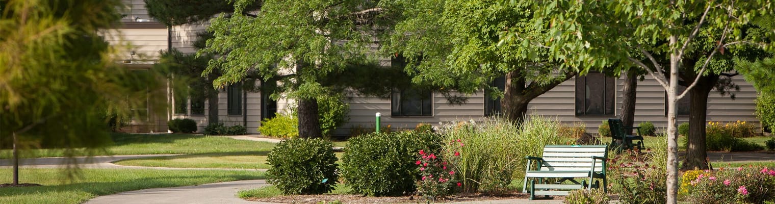Outdoor garden area with benches and pathways