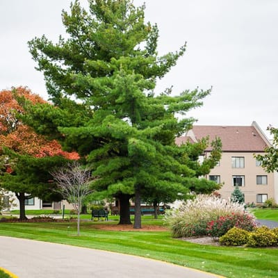 Lush outdoor landscaping in the facility grounds