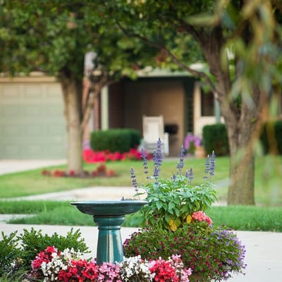 Colorful garden with flowers and birdbath