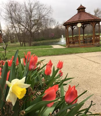 Gazebo surrounded by colorful flowers in a serene garden