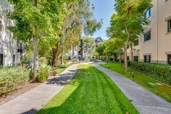 Walkway through a green garden area with trees