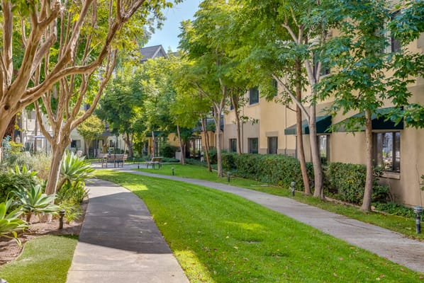 Walking path through well-maintained landscaping